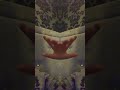 Floating hand spider