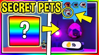 I Found ALL SECRET PETS In PET SIMULATOR X Roblox