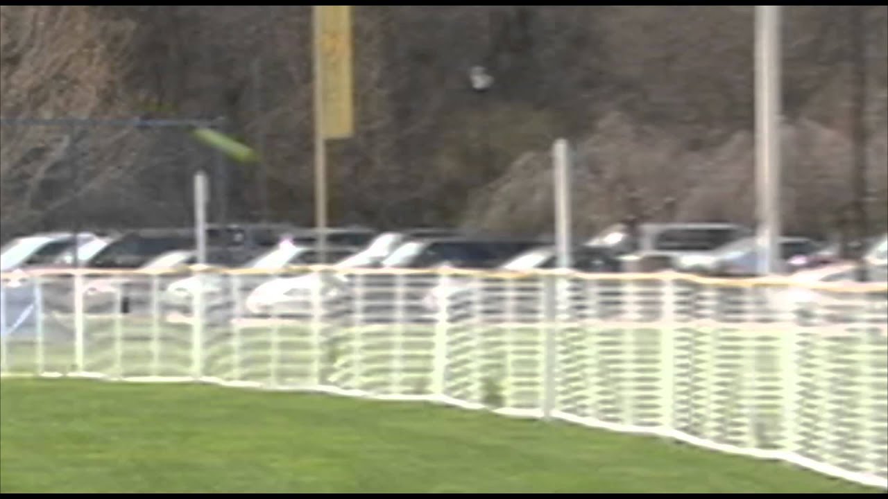 2015 Ohio Softball Home Run Controversy