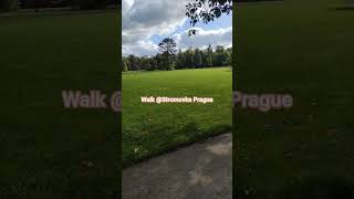 #travel #prague #stromovka Walk in park #park