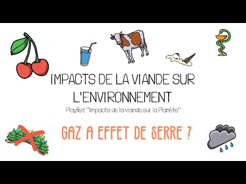 Les Impacts de la viande sur l&rsquo;Environnement