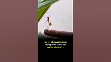 WRONG PEOPLE 😎🔥WhatsApp Status #shorts Billionaire Attitude Status🔥#motivation #quotes
