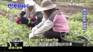 20160529 TVBS新聞- 世界翻轉中_天癒仿生農法 