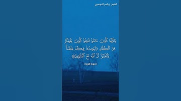 سورة التوبة ( ١٢٢ - ١٢٣) / ياسر الدوسري