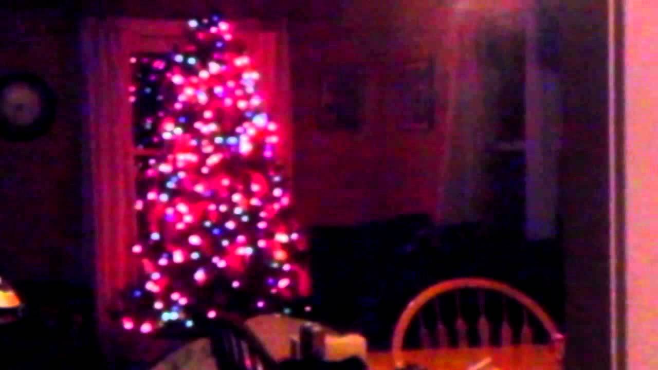 Bat flying in house YouTube