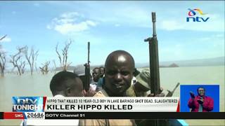 A hippo that killed a 10-year old boy in Baringo shot dead, slaughtered