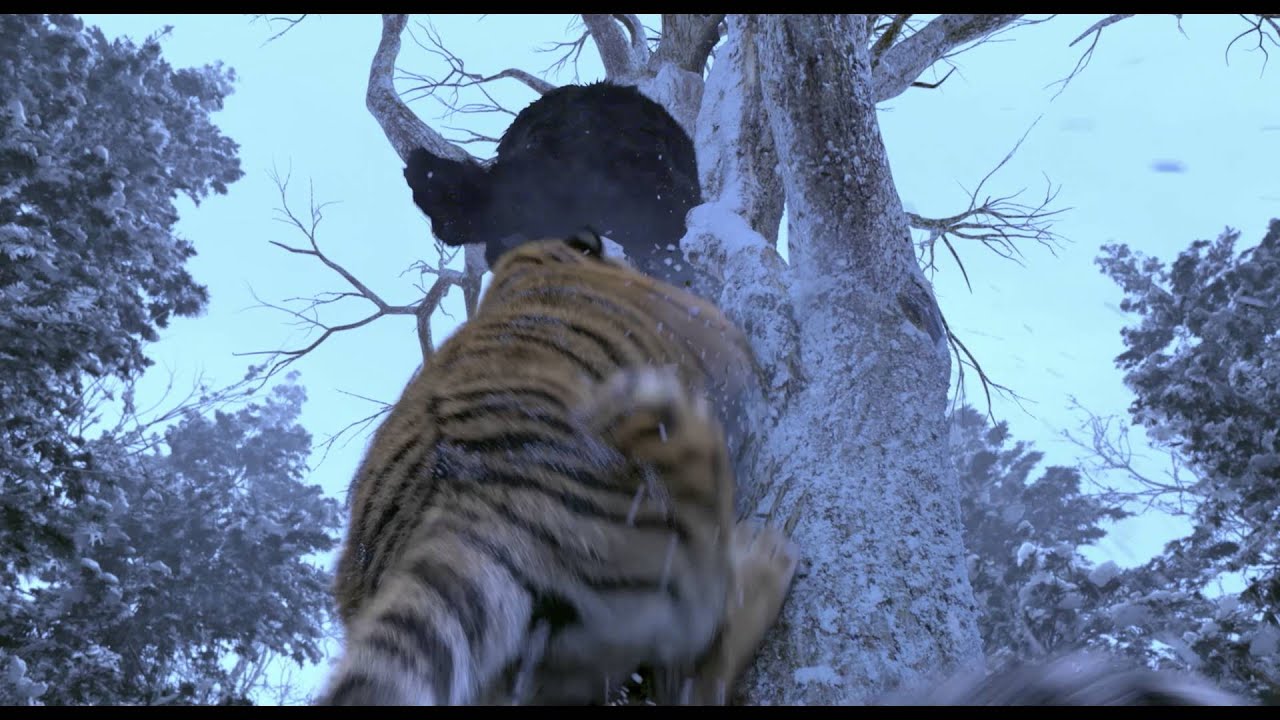 Die.Letzte.Schlacht.Am.Tigerberg Die.Letzte.Schlacht.Am.Tigerberg