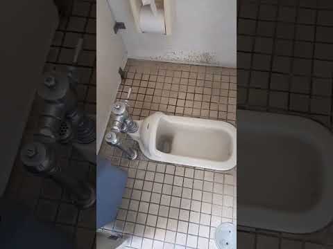 This is a Japanese style toilet, used by females in the squat down position. It's an old type in use