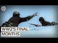 The Battle Of The Bulge The Final Brutal Months Of WW2 