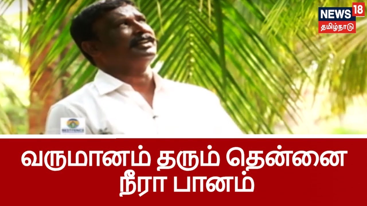 தேங்காயை விட 10 மடங்கு வருமானம் தரும் தென்னை நீரா பானம்  எடுப்பது எப்படி?