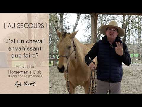 [AU SECOURS] Mon cheval est envahissant, que faire ?