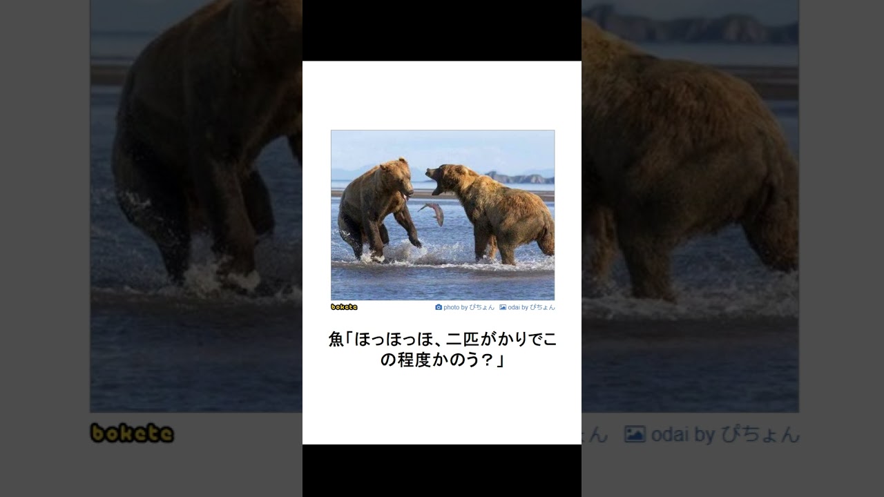 【爆笑】殿堂入りしたボケてにアフレコしてみたよ！ part130　#shorts #ボケて #ボケて殿堂入り