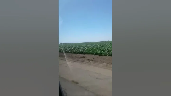 20 de septiembre de 2017