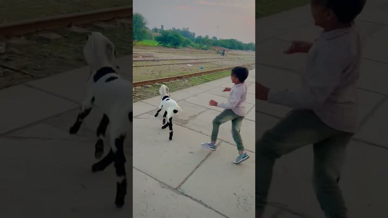 Ali ny Bakri ka bacha pkr leya || 