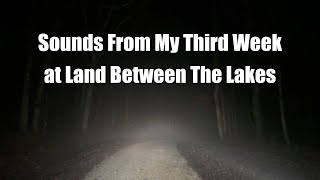 Bigfoot Yells at The LBL