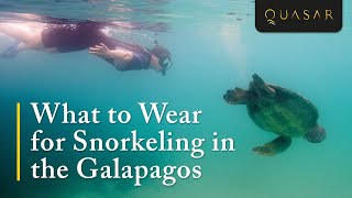 What to Wear for Snorkeling in the Galapagos Islands