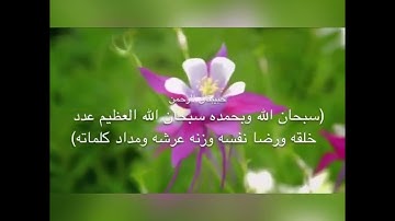 تلاوة خاشعة للقاري حمزة بوديب( قل يا عبادي الذين أسرفوا على أنفسهم )طبيعة ساحرة جميلة(سبحان الله)🤍