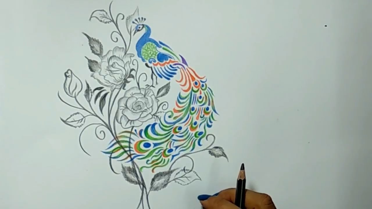 Cute Drawings Color Pencil Drawing An Amazing Peacock Easy