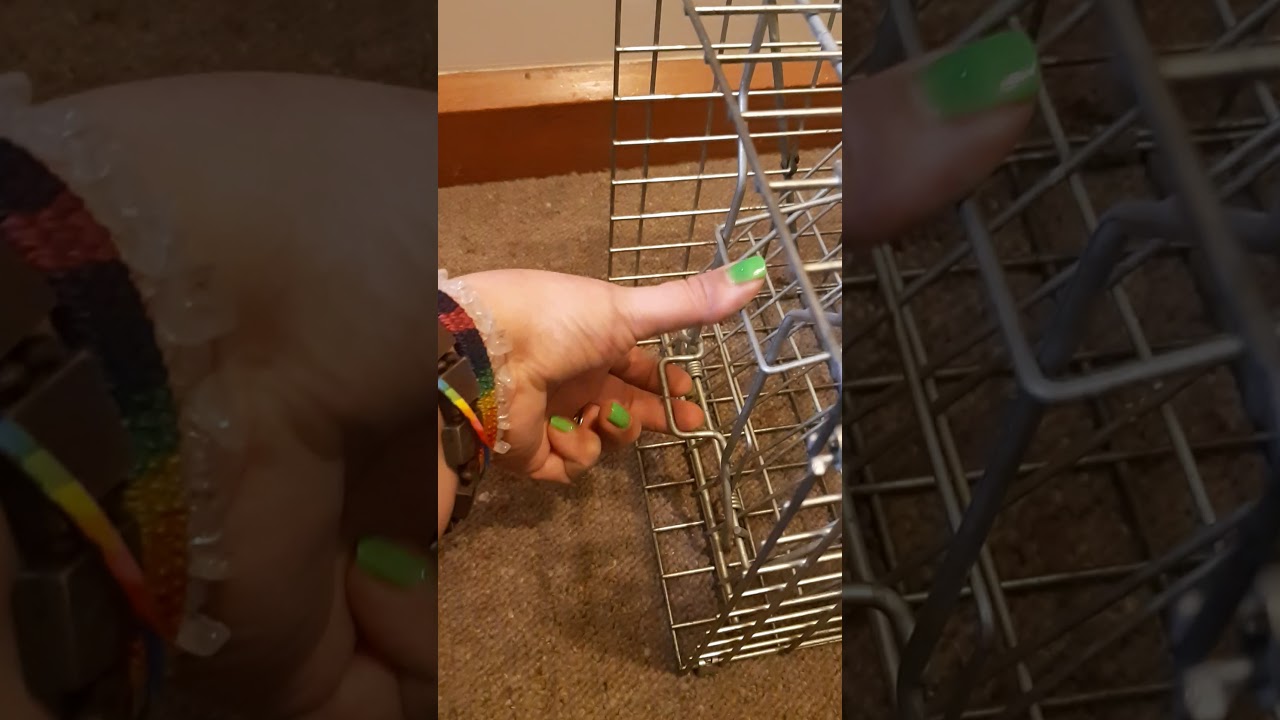 How to set a spring loaded trap