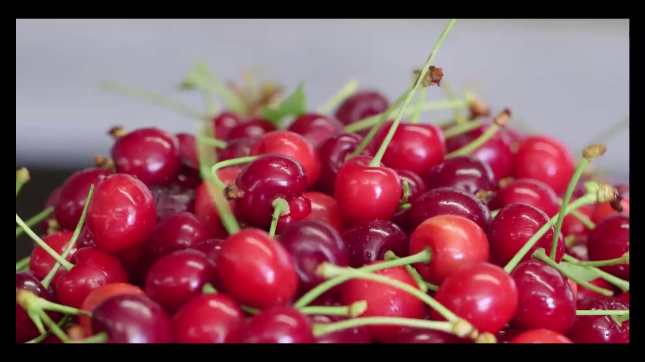 Orchard View Cherries: Packing the Perfect Cherry