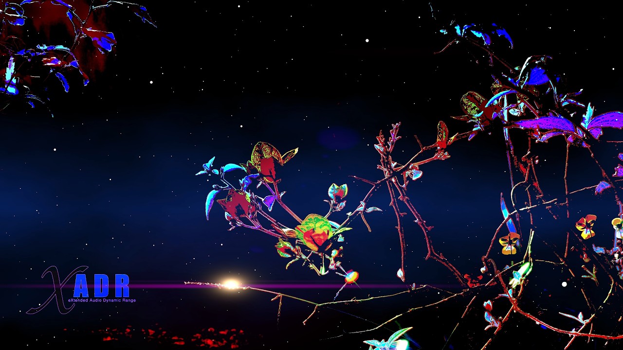 GOOD NIGHT (Remastered)