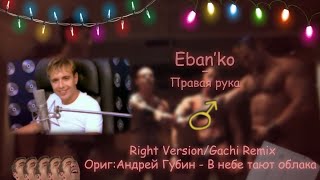 ♂Eban'ko - Правая рука♂ (Right Version/Gachi Remix)