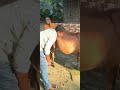 टनक, शरन, चिटकी रोग MPD (Medial Patellar ligament desmotomy)