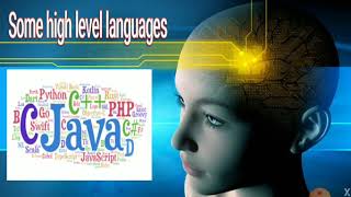 Celebrity Chapter 2 computer language Wealth