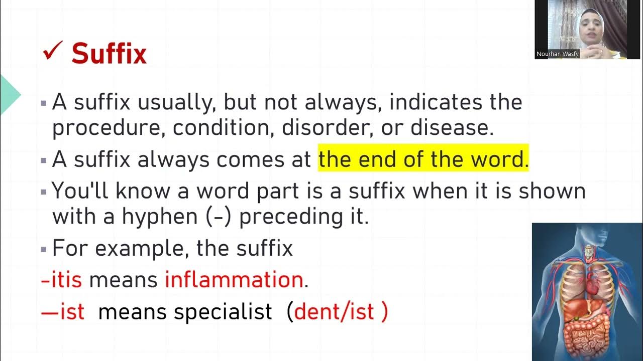 Introduction to Medical Terminology W1 YouTube