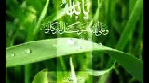 راسم التميمي سورة نوح.wmv