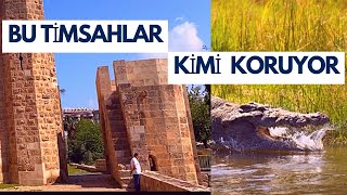 Kalenin Önü Timsahlarla Dolu Payas - Hatay