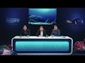 Alla ricerca di Dory - Il Trio Medusa per #TrovaDory sul web - Dory News 2