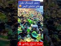 حجر كريم وكريستال على شاطئ البحر