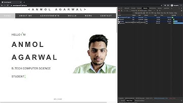 Developer Portfolio Review