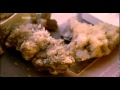 Capture de la vidéo A History of Disbelief: Atheism Documentary Final Episode
