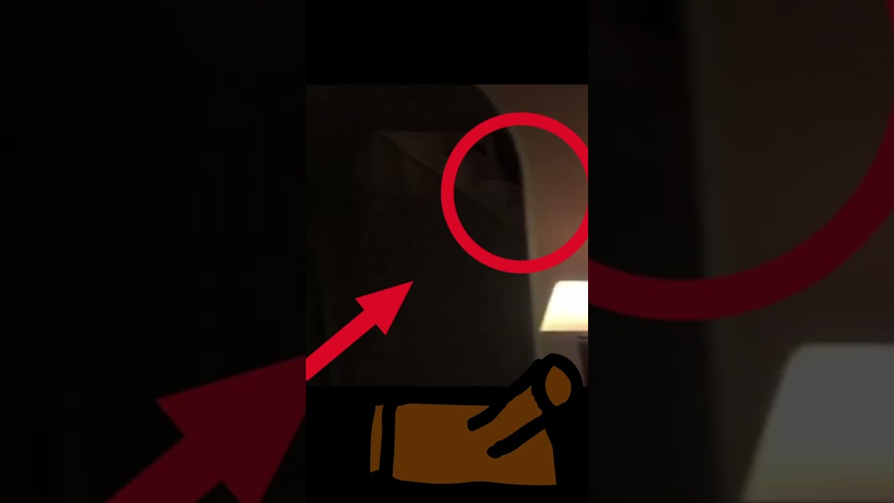 Yeah follow the killer… idiot 