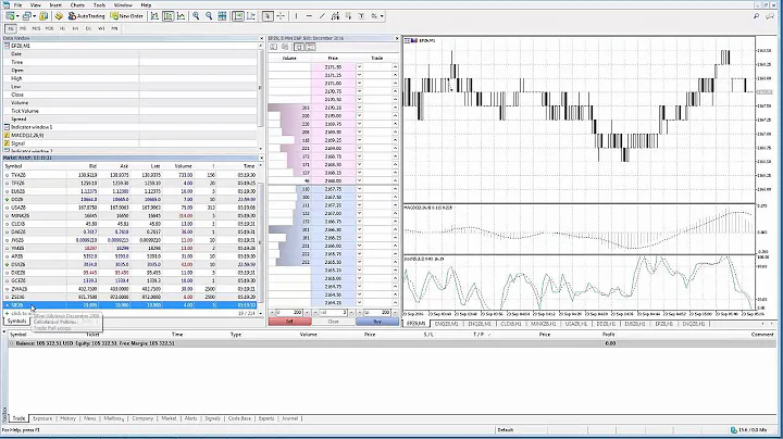 Maximize Your Trading Potential with the Market Watch Window