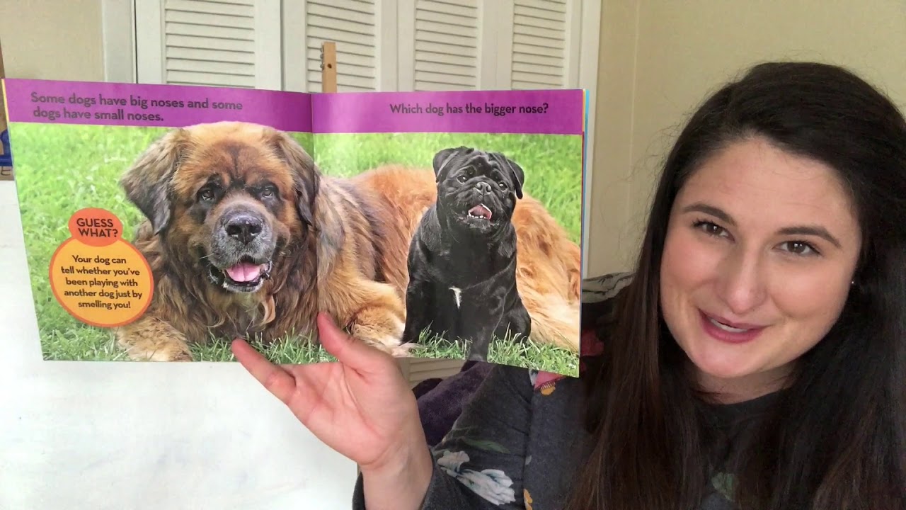 Dogs National Geographic Look and Learn YouTube