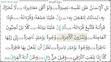 سورةُ القيامة (14 - 28) - خليفة الطنيجي المعلّم