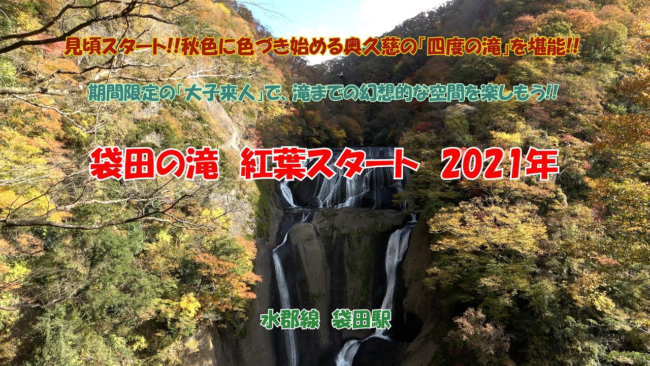 4k 袋田の滝 紅葉スタート 21年 紅葉21 水郡線 袋田駅 見頃スタート 秋色に色づき始める奥久慈の 四度の滝 を堪能 期間限定の 大子来人 で 滝までの幻想的な空間を楽しもう Youtube