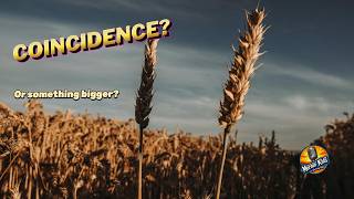 Was It Really a Coincidence Ruth's Unexpected Field