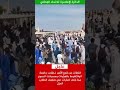 همجية الشرطة