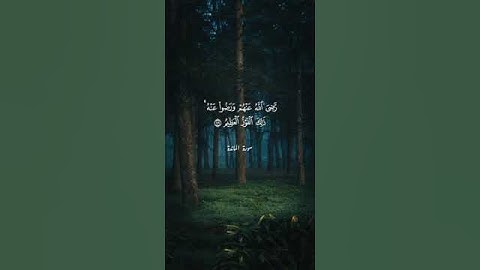 قال الله هذا يوم ينفع الصادقين صدقهم لهم جنات تجري من تحتها الأنهار ''سورة المائدة '' محمد أيوب