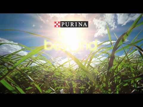 purina-"we-believe"-commercial