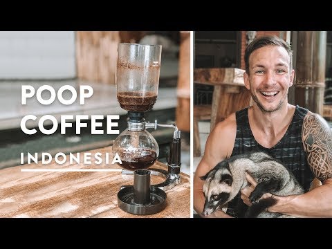 Bali Indonesia Coffee