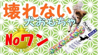 ヌーボースティック【壊れない犬のおもちゃNo.1を検証】【しゃべる犬】柴犬ミックス犬わっしょいと園長福ちゃんが、実験しポイントも紹介＆おすすめ