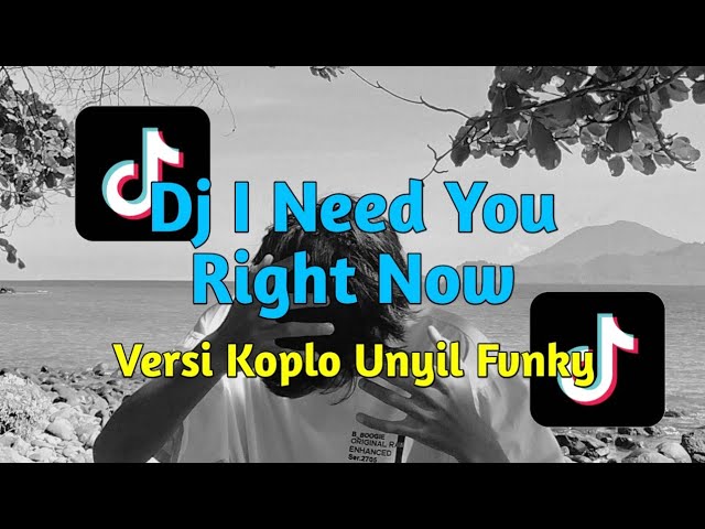 Dj I Need You Right Now Versi Koplo Unyil Fvnky Terbaru 2024 Viral Tiktok class=