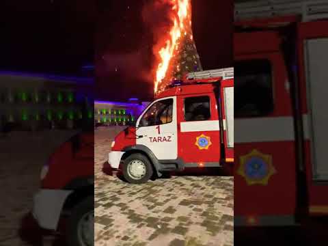 #пожар ёлки в городе Тараз, Казахстан... #shorts