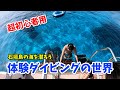 【超初心者用】体験ダイビングの世界を教えます