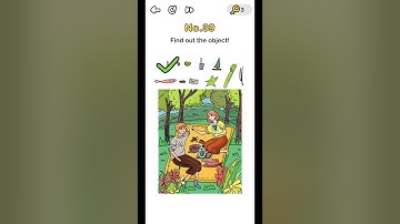 Brain Out Level 39 - Find the object